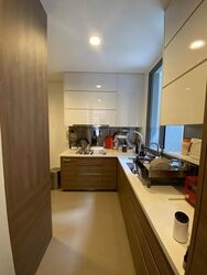 Leedon Residence (D10), Condominium #518609831